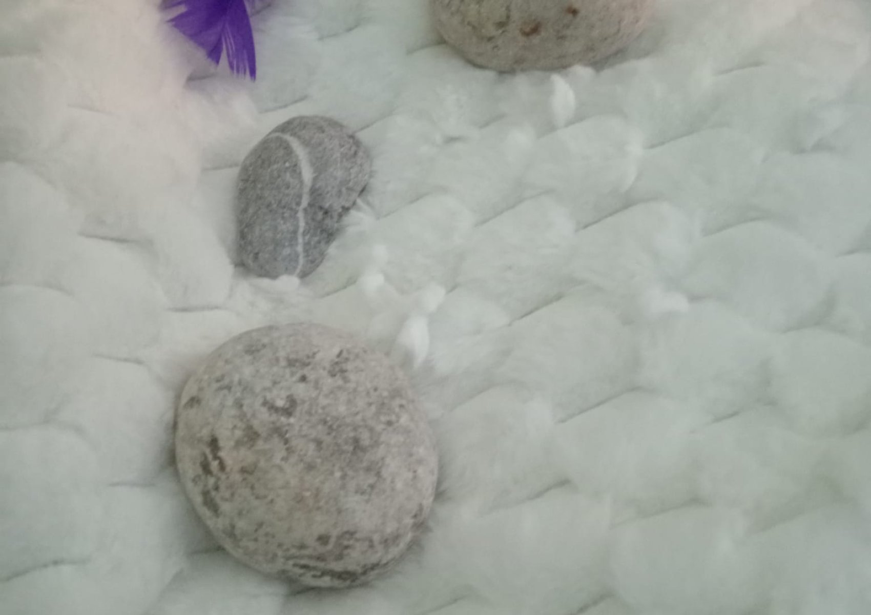 whatsapp image 2026-02-01 at 06.52.24 7